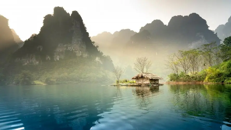 工业高效全自动